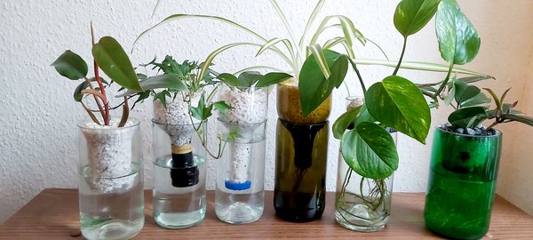 Easy-Peasy-Upcycling-Pflanzentöpfe aus Flaschen