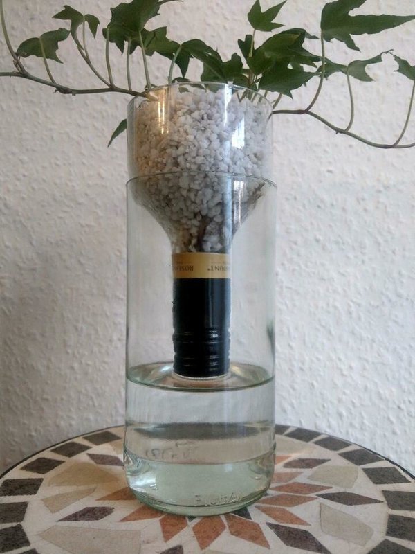 Easy-Peasy-Upcycling-Hydropflanze: Efeu (mit Pflanzennahrung)