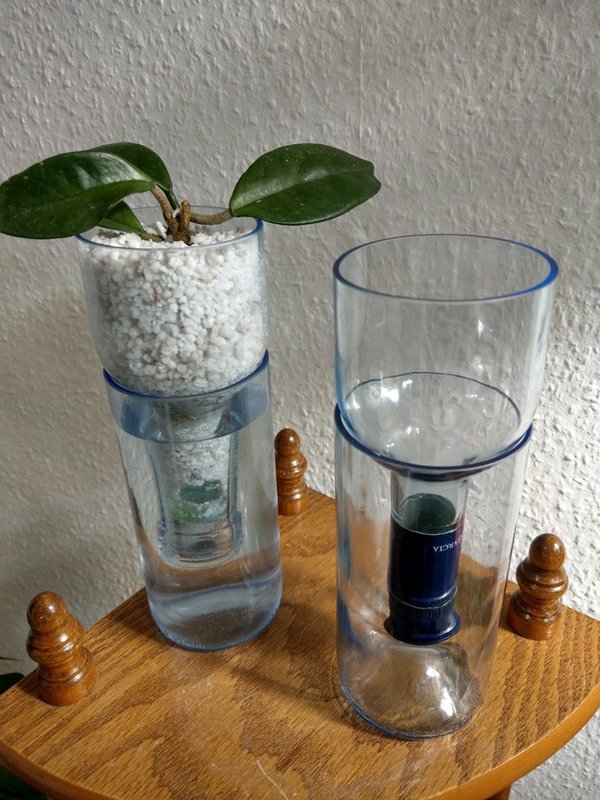 Upcycling-Blumentopf aus Weinflasche für Hydrokultur