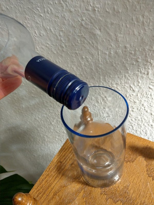 Upcycling-Blumentopf aus Weinflasche für Hydrokultur
